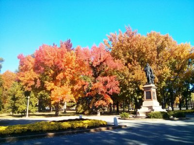 IMG_20131103_131225~2.jpg