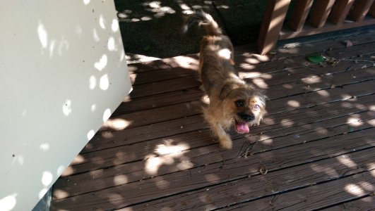 IMAG0037.jpg