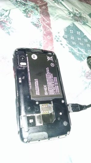 10394059_859548734064571_8285555672888045978_n.jpg