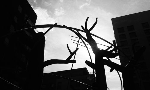 20140918_121125_1.jpg