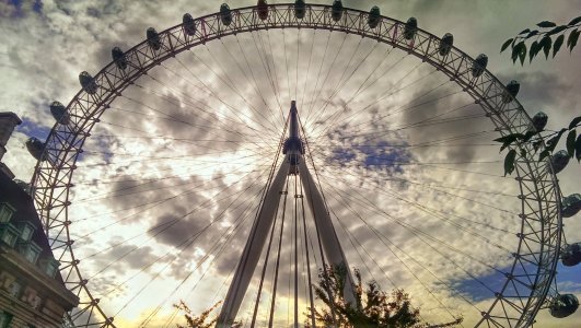 IMAG0117 (2).jpg