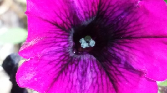 20140918_135151.jpg