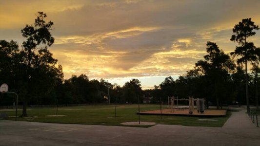 20141023_072811.jpg