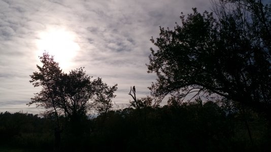 IMG_20141003_163710120.jpg