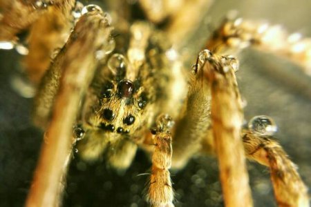 20141028_183711~2~01.jpg
