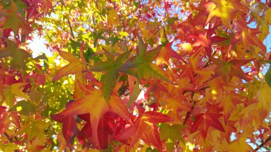 20141028_125830.jpg