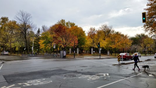 20141028_140823.jpg