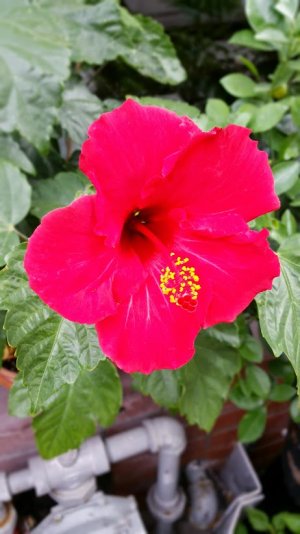 20140930_115730.jpg