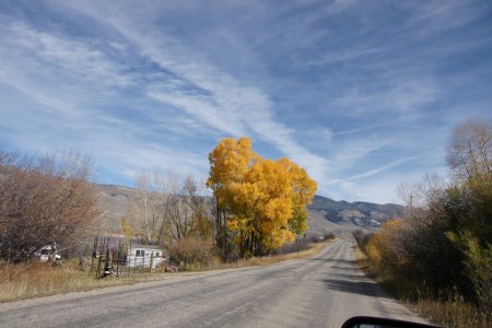 A700.jpg