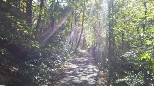 2014-10-12 14.17.55.jpg