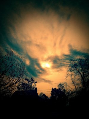 IMG_20131221_150502.jpg