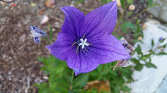 20141027_092635.jpg