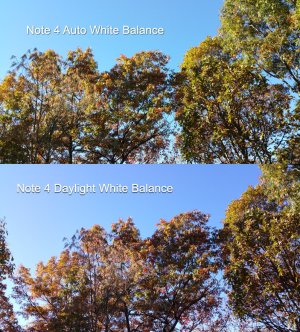 Note 4 White Balance Comparison.jpg