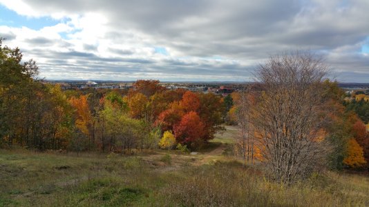 20141018_164215.jpg