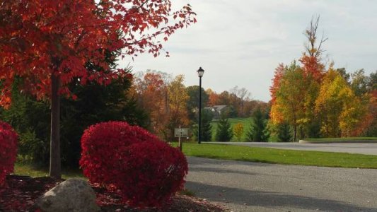 20141017_150013.jpg