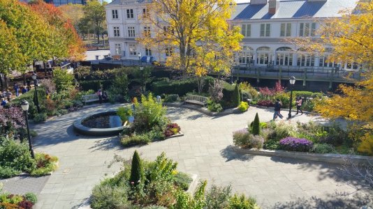 20141030_124651.jpg