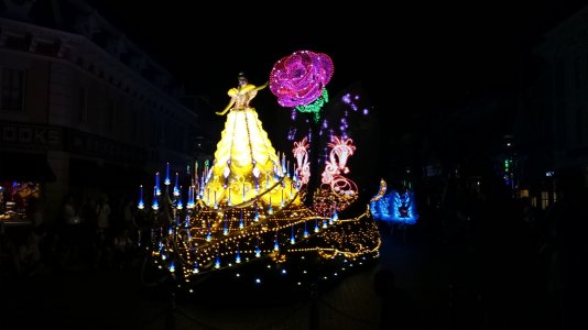DSC_0555.jpg
