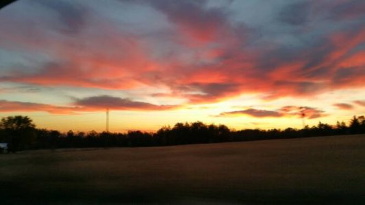 20141028_072027.jpg