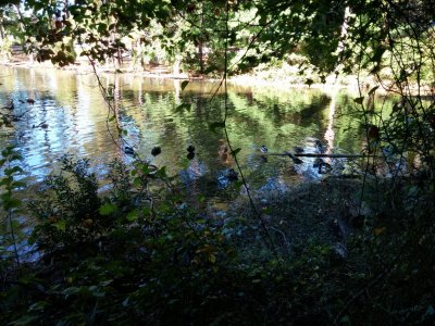 2014-10-19 10.46.07.jpg