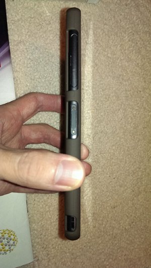 IMAG0381.jpg