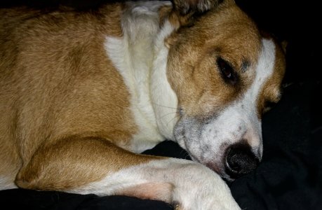 20141029_102155.jpg