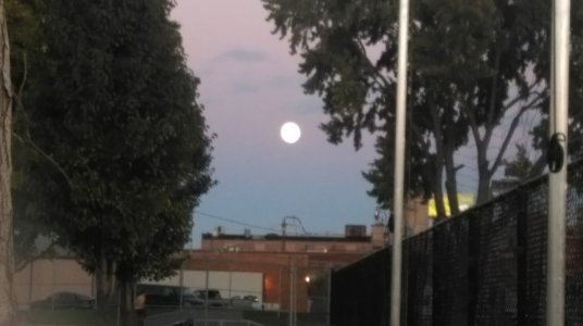 moonday.jpg