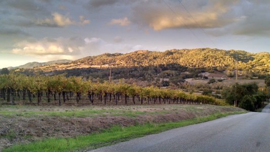 IMG_20141031_175755628_HDR.jpg