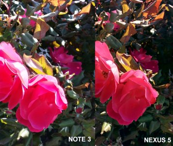 Nexus vs note 3 - 3.jpg