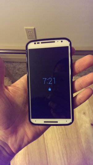 IMAG1130.jpg