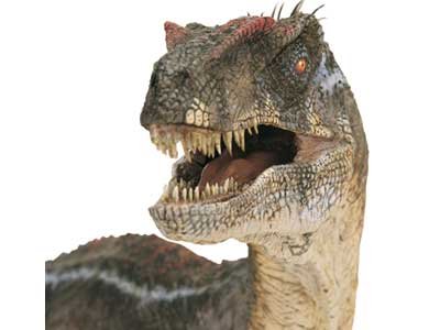 Velociraptor.jpg
