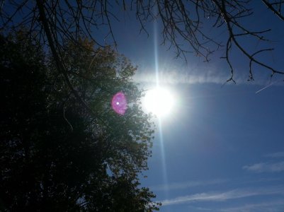 20121020_140239.jpg