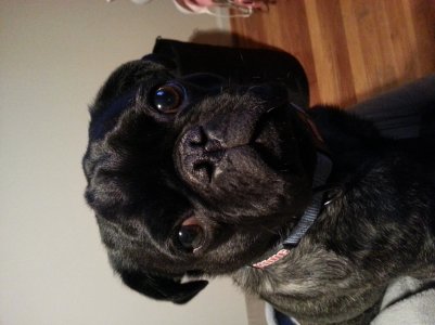 20121129_211431.jpg