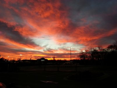 IMG_20121119_072335.jpg