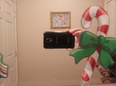 IMG_20121218_095945.jpg