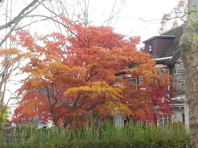 20121112_151625.jpg