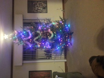 20121205_182434_HDR.jpg