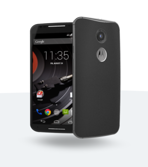 composited-image-00000 (1).png