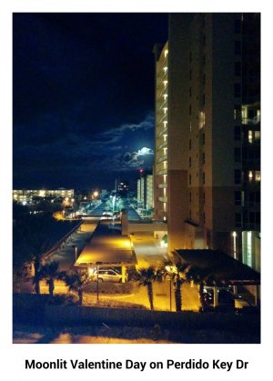 PerdidoKeyMoonlight.jpg