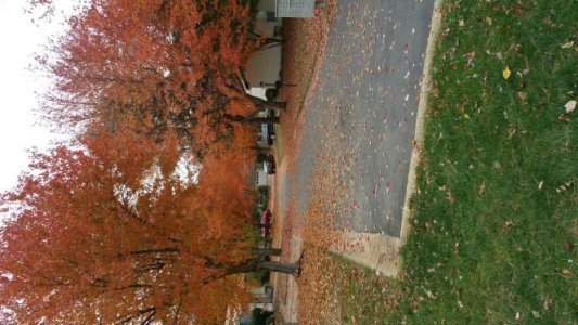 20141031_120459.jpg
