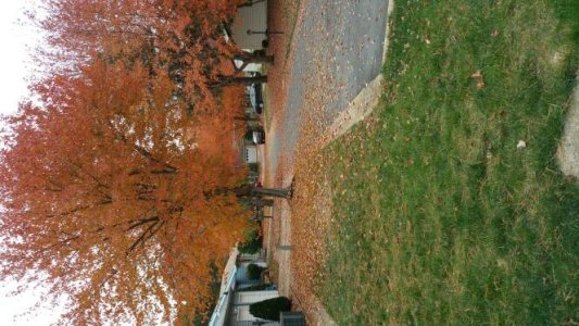 20141031_120332.jpg