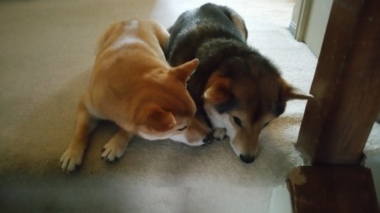 20141102_074348.jpg