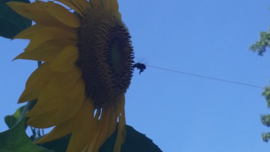 20140814_162847.jpg