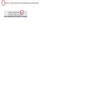 5.0 Dwnload Issue.jpg