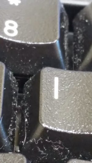 20141103_150632.jpg