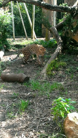 IMAG0812_1.jpg