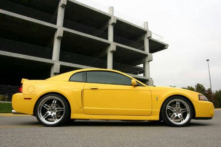 Badong04Cobra.jpg