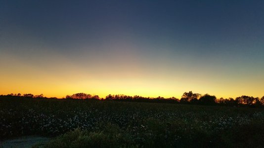 20141102_180641_1.jpg