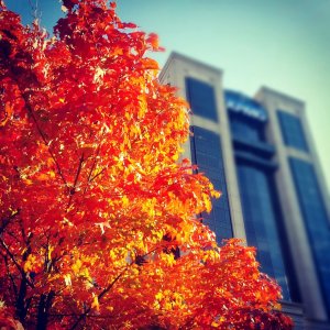 IMG_20121017_162618.jpg