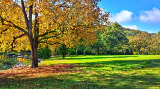 20141029_101248_Richtone(HDR)_1.jpg