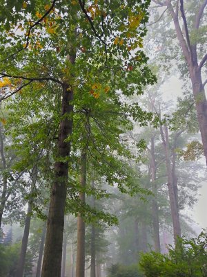 2013-09-28_09-07-57_HDR.jpg